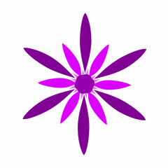 cute and beautiful flower vector illustration