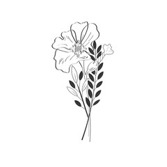 botanical composition linear style wildflower vector