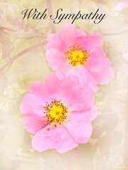 Idea for a Condolences messag