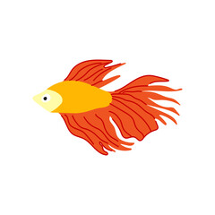 guppy exotic fish cartoon. cichlid angel, tetra gold, koi arowana guppy exotic fish sign. isolated symbol vector illustration