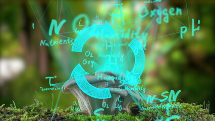 Nurturing Oyster Mushrooms: Time-Lapse of Growth-Boosting Elements and Blooming Fungi