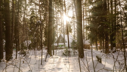 A peaceful winter scene with a cozy cabin nestled in a snowy forest. Soft snowflakes fall gently as sunlight filters through the trees, creating a warm, inviting glow