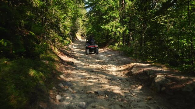 Off-road adventure. Navigating the rugged terrain of the woods. Conquering the trails: ATV riding in verdant woods. Thrilling ATV Ride amidst the lush forestry. Outdoor exploration