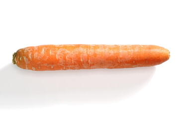 Fresh orange carrot