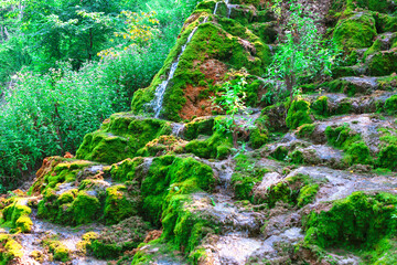 Large rock covered in vibrant green moss. Nature's beauty and texture in a serene outdoor setting with water cascade