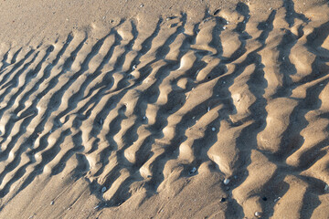 Wavy Sand Patterns Created by Ocean Waves in Soft Natural Light