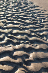 Wavy Sand Patterns Created by Ocean Waves in Soft Natural Light
