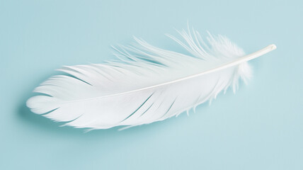 Obraz premium 浮遊する白い羽根