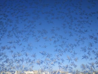 Snowflakes on window frost on glass city view background blue sky brightly lit houses yellow light New Year Christmas frosty natural pattern on winter window ice pattern with sunlight winter panorama