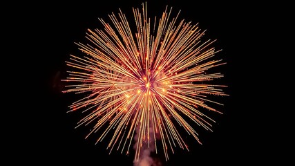 A single brilliant burst of red and gold fireworks illuminates the night sky with radiating streaks of light.