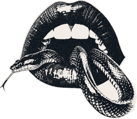 Magazine clipping, halftone photo of a woman's beautiful plump lips, open mouth, emotions.