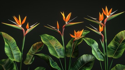 Three Orange Flowers on Green Leaves