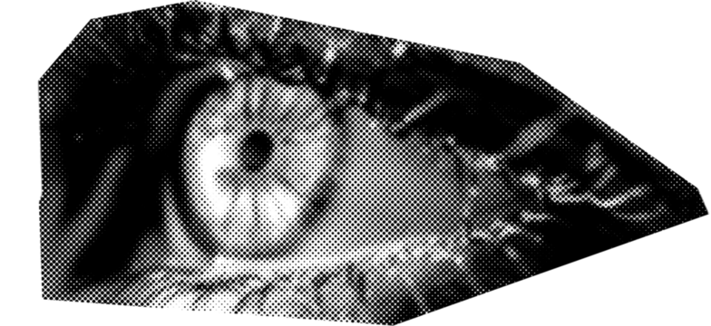 Cutting from a black and white magazine, scrapbooking element of the eyes.