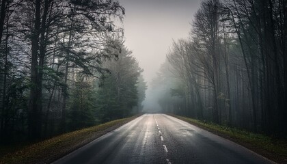 Fototapeta premium Long foggy mystery road in the dark woods