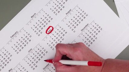 Monthly calendar with marker writing Debt Free, as financial freedom, goal achievement, and budgeting milestones. Motivation for financial planning, debt repayment, and disciplined money management.
