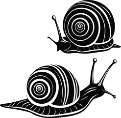 vector snail isolated on white background