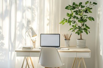 Fototapeta premium Laptop on white desk in sunny room with plant
