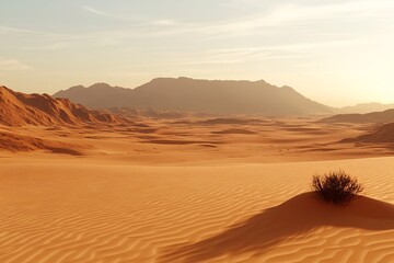 Golden hour over vast white sand dunes in a tranquil desert landscape with distant mountains