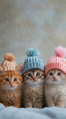 Obraz premium Three cute kittens sit closely together, donning pastel-colored knit hats, creating a cozy and endearing scene.