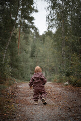 Toddler boy walking away on the forest path full of autumn leafy