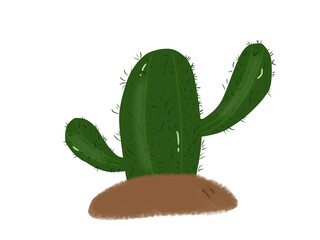 cactus