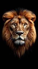 Majestic lion with a powerful gaze showcasing detailed features and vibrant mane against a black...