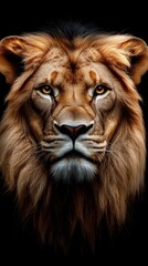  a beautiful and magnificient hyper realistic lion, looking deeply to the camera in a black background