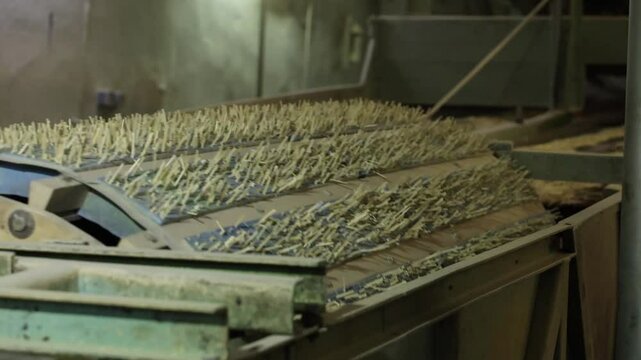 Conveyor at the match factory for the production of veneer blanks matches saltpeter and packaging