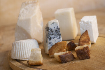 cheeses and bread croutons