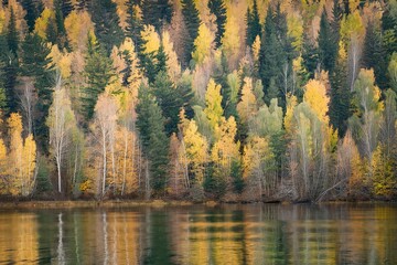 A scenic landscape with a calm lake surrounded by a dense forest of trees in autumn colors
