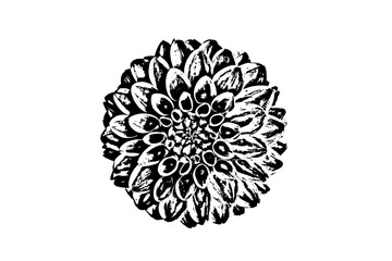 black and white flower on white background