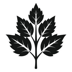 tree leaves set silhouette on white background