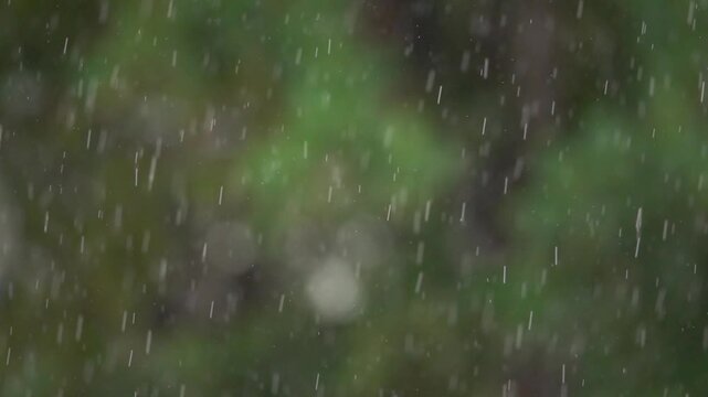 A rainy day with raindrops falling on a green tree