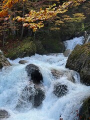 Uelhs deth Joèu en el Vall d Aran