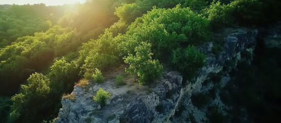 Obraz premium Aerial View of a Cliffside Forest