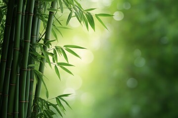 Naklejka premium Bamboo stalks and lush green leaves in a tranquil garden setting during daylight hours