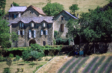Gorges du Tarn, canyon in Occitanie, France