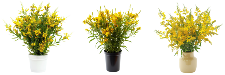 Vibrant yellow blooming flowers arranged in a vase or container creating a lush and cheerful floral arrangement for home office or event decor