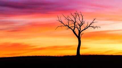 Silhouette of a Lone Tree Against Vibrant Sunset Sky