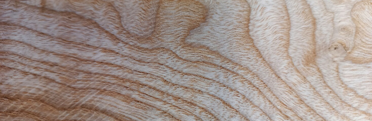 Detailed View of Wood Surface with Organic Patterns