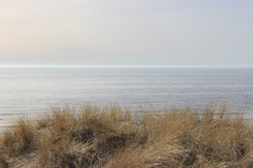 Morning on the beach
