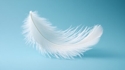 Fototapeta premium Delicate White Feather Floating on Blue Background