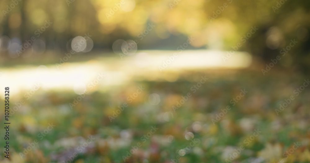 Canvas Prints blurred background of city alley in autumn with bokeh