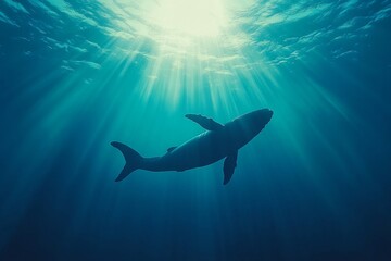 Fototapeta premium A graceful shark gliding through clear ocean waters beneath shimmering sunlight rays in a tranquil underwater setting