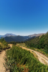 Fototapeta na wymiar mountain road in the mountains