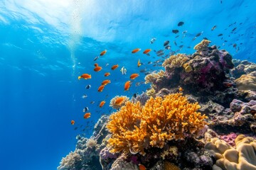 Naklejka premium Underwater coral reef teems with colorful fish amidst vibrant marine life in clear tropical waters