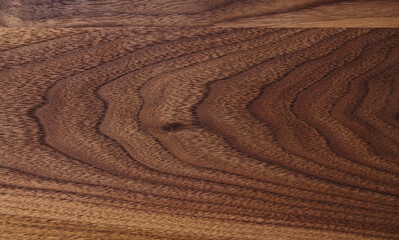 Naklejka premium Real black walnut wood texture with natural grain