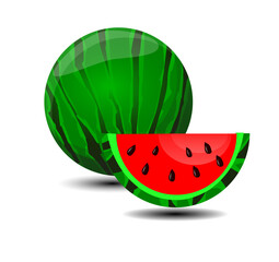 watermelon slice vector illustration 