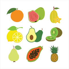 Vector illustration of a collection of different varieties of fruits.