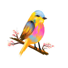 A bright bird sits on a flowering branch in profile